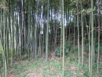 IMG_1257