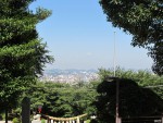 IMG_6222