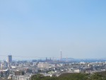 IMG_6391