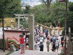 IMG_6427