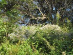 IMG_6546