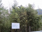IMG_1721