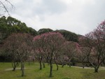 IMG_1776