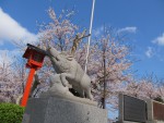 IMG_5700