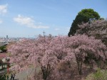 IMG_5761